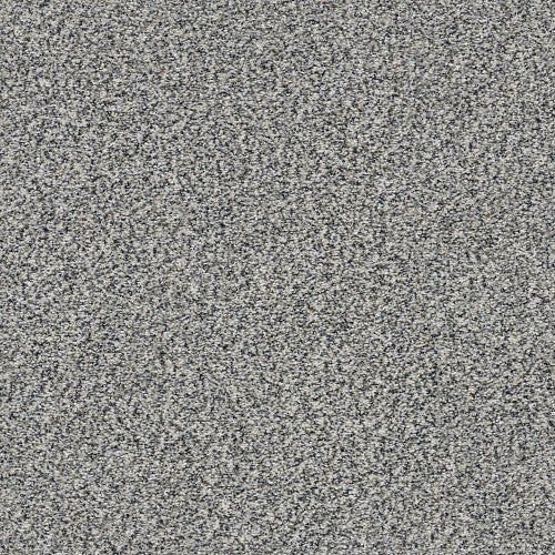 WITHIN REACH I - 5E259 - 00101 - Carpet