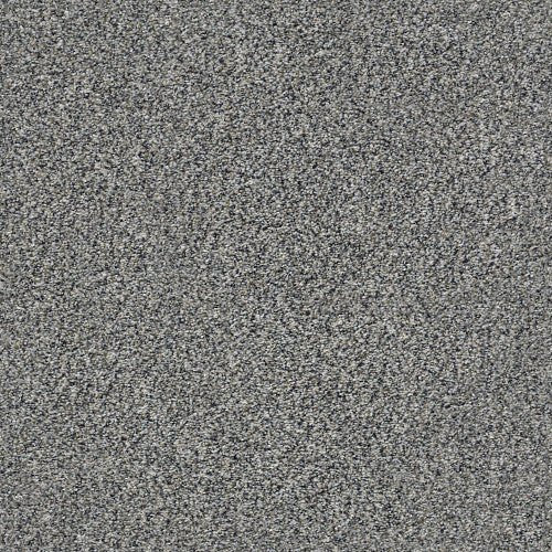 WITHIN REACH I - 5E259 - 00106 - Carpet