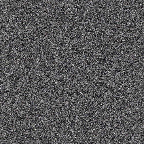 WITHIN REACH I - 5E259 - 00705 - Carpet