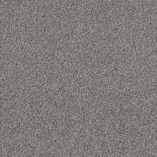 WITHIN REACH II - 5E260 - 00504 - Carpet