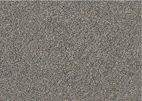 WITHIN REACH II - 5E260 - 00109 - Carpet