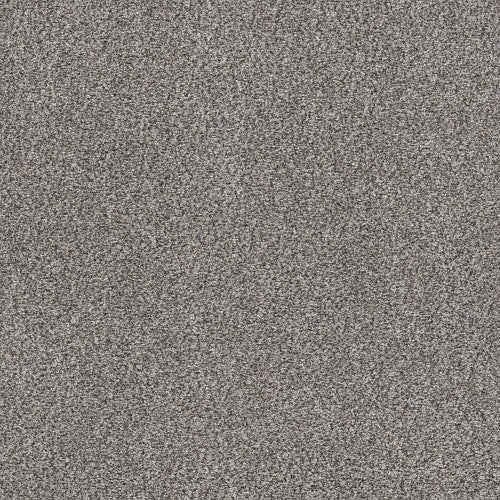 WITHIN REACH II - 5E260 - 00101 - Carpet