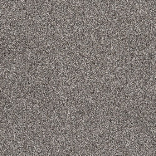 WITHIN REACH II - 5E260 - 00106 - Carpet