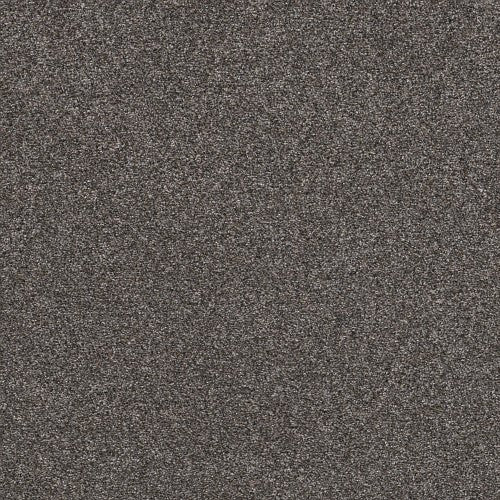 WITHIN REACH II - 5E260 - 00705 - Carpet