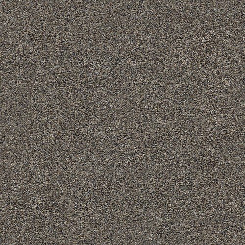 WITHIN REACH III - 5E261 - 00110 - Carpet