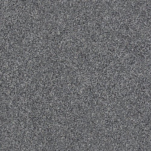 WITHIN REACH III - 5E261 - 00503 - Carpet