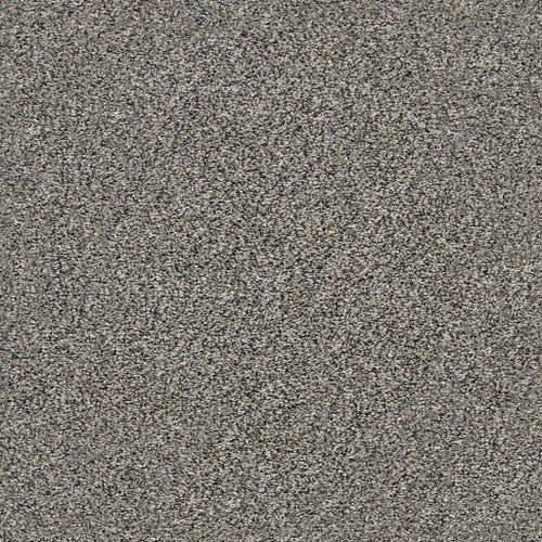 WITHIN REACH III - 5E261 - 00109 - Carpet