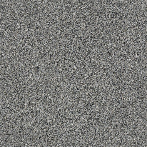 WITHIN REACH III - 5E261 - 00106 - Carpet