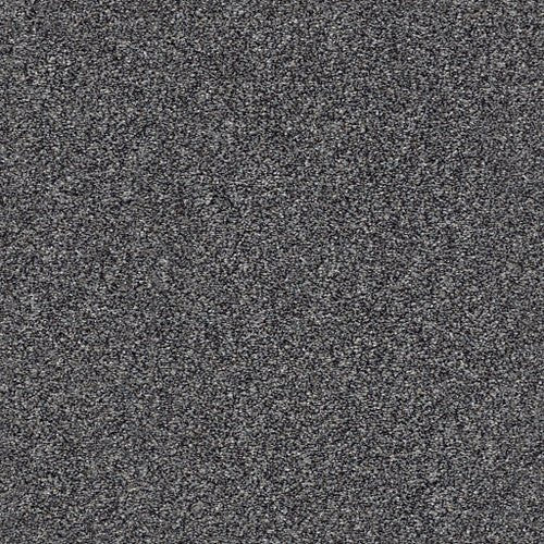 WITHIN REACH III - 5E261 - 00705 - Carpet