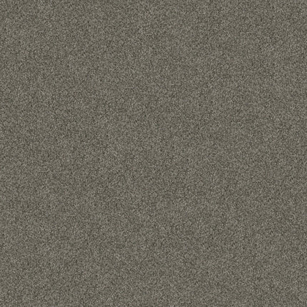 Yes You Can III 12' - 5E570_00300-Carpet